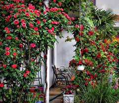 Jul 14, 2021 · 12 butterfly bush varieties 12 photos. 15 Stunning Rose Garden Ideas How To Plant A Rose Garden
