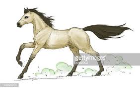 Handcrafted cowhide decor pieces and western inspired handbags and accessories. Buckskin Horse Galopp Clipart 1 566 198 Cliparts