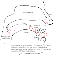 Image Result For Ipa Mouth Diagrams Speech Language