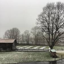 parkhaus aus wc rollen paula s haus verschenken parkhaus diy weihnachtsgeschenke