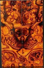 Maybe you would like to learn more about one of these? 58 Desert Ironwood Ideas Ironwood Burl Wood Turning Projects