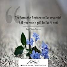 Aforismi Frasi Citazioni Ralph Waldo Emerson Citazioni Sagge