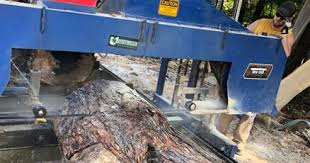 Local enterprise seeks to find value in doomed ash trees, among others