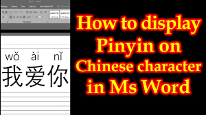 If you draw a simplified chinese character while you're using a traditional chinese input source, the candidate bar displays possible corresponding traditional. How To Display Pinyin On Chinese Character With Ms Word Youtube