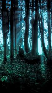 Free Fantasy Forest Wallpapers High Quality At Movies Monodomo #8.2920, anime, girl, sword, fantasy, warrior, 4k. free fantasy forest wallpapers high