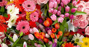 When you want the freshest flowers and creative, custom designs, our floral shop experts offer the following services indoor tropical plants. Ftd Florist Directory Find Local Florists Near You