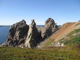 Apart from the camel this is a masterpiece of a painting because as you see there is a mans face madeup of animals.from far. Can You See The Camel Picture Of Spiller S Cove Twillingate Tripadvisor