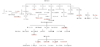 What Are The Most Successful Coaching Trees Mentor Acolyte In Any Professional Sport Quora It's no secret that bill belichick is one of the most respected figures in the history of football.