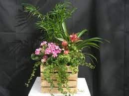 Consulta tranquila y personalizada, cita previa de lunes a viernes de 9h30 a 19h. Pin En Centros De Plantas