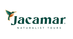 Jacamar Tours and Transfers