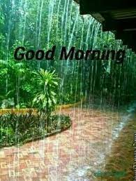 We did not find results for: Good Morning Good Morning Rainy Day Good Morning Beautiful Pictures Happy Good Morning Images