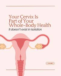 Image result for Friable Cervix