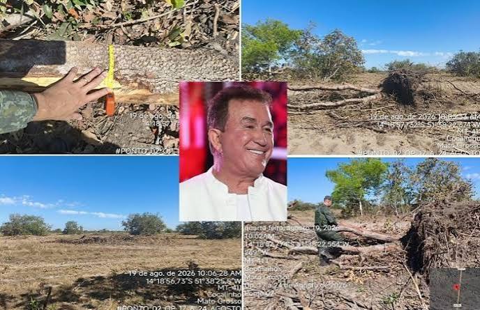 Cantor &eacute; multado em R$ 157 mil por desmatamento de fazenda em MT | FOLHAMAX | &Uacute;ltimas Not&iacute;cias de Cuiab&aacute; e Mato Grosso