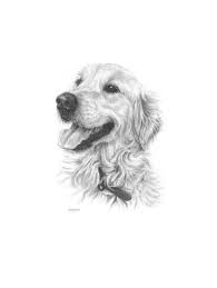 Golden Retriever Greeting Card Dog Card Hand Drawn Pencil Etsy Golden Retriever Drawing Golden Retriever Tattoo Golden Retriever Sketch