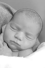 Council Hopes 'Wildflower' Encourages Growth In Litchfield