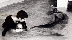 We did not find results for: Bbc Four The Girl Who Talked To Dolphins Dealing With A Dolphin S Urges