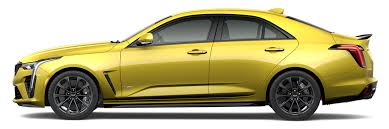 Image result for Dark Yellow Green 2025 Fleet