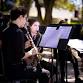 Spring Winds and Classics