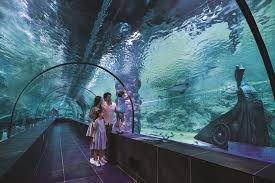 Polin Aquariums Launches Funtastic Aquariums Concept