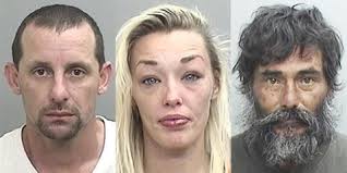 Mendocino County Today: Monday, Nov. 12, 2018