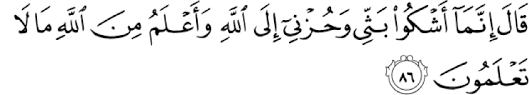 Pada ayat ini, terbayang dengan jelas betapa besar kecurigaan nabi yakub terhadap para saudara yusuf dan kekhawatirannya apabila ia membiarkan yusuf bergaul dengan mereka, apalagi setelah mendengar cerita yusuf tentang mimpinya. The Best Of Stories Pearls From Surah Yusuf Part 11 Muslimmatters Org