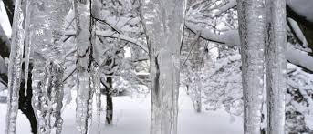 We did not find results for: Polarwirbel Kollabiert Warum Der Winter Noch Richtig Kalt Werden Konnte