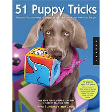 I'm doing this out of the goodness of my heart because i want every dog owner in the world to experience. 51 Puppy Tricks Pdf Download Dollienereusesd