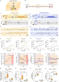 We did not find results for: An Amygdala To Hypothalamus Circuit For Social Reward Nature Neuroscience