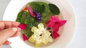 Circa) fu un asceta fondatore di una comunità battista, venerato da tutte le chiese cristiane e per preparare l'acqua di san giovanni bisogna raccogliere, durante la vigilia della notte del 24 giugno, una misticanza di erbe. Tvsokgg9qdxwvm