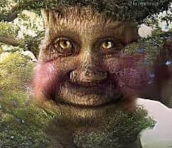 Why Should you Learn the Leo Programming Language