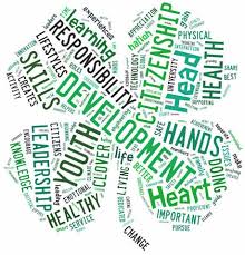 4 H Duval County Extension Office Solutions For Your Life Uf Institute Of Food And Agricultural Sciences 4 H Clover Cool Science Fair Projects 4 H Club