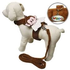 Clifton Matheson Adli Kullanicinin For Your Pets Panosundaki Pin
