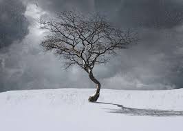 Maybe you would like to learn more about one of these? 12 Pagan Prayers For The Yule Sabbat