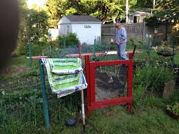 We did not find results for: Husband Helping Me By Tilling The Veggie Garden Tomatoes Going In All Organic And I Use This Product It S Awesome Veggie Garden Compost Garden