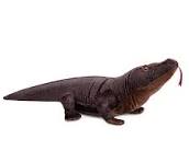 Amazon.com: ZHONGXIN MADE Komodo - Juguete de peluche de ...