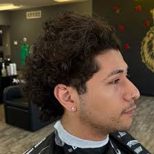 Curly Hair 🤝 Burst Fade If you are in the Dubuque area looking for a  transformation like this hit the BOOKSY link