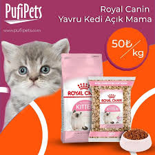 pufipets acik mama evcil hayvan urunleri yavru kediler evcil hayvanlar