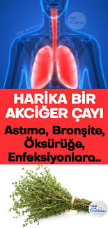 Harika Bir Akciger Cayi Astima Bronsite Oksuruge Enfeksiyonlara Health Diet And Nutrition Eye Care