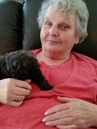 Missing Cat Steve in Lake Sinclair Area