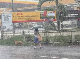 The Manila Times - News update