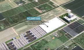 At atlantic sapphire, our commitment to sustainability is why we farm fish locally to transform protein production globally. Real World Craig Medred