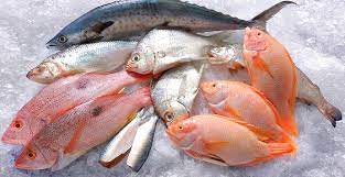 Maybe you would like to learn more about one of these? Pengawetan Ikan Menggunakan Suhu Rendah Beyond Your Logic