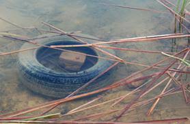 If your question is not fully disclosed, then try using the search on the site and find other answers on the subject health. 10 Simple Ways You Can Keep Watersheds Clean Howstuffworks