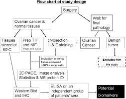 Ovarian cancer is a type of cancer that begins in the ovaries. Stress Induced Phosphoprotein 1 As A Secreted Biomarker For Human Ovarian Cancer Promotes Cancer Cell Proliferation Molecular Cellular Proteomics