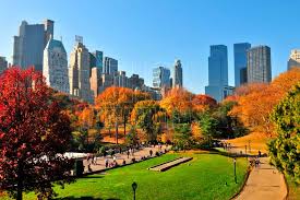 New york explosion | multiple law enforcement officials tell abc news that investigators are exploring the possibility the two explosions in ny and nj are. Hoy Tamaulipas Un Herido Por Explosion En Parque Central De Nueva York