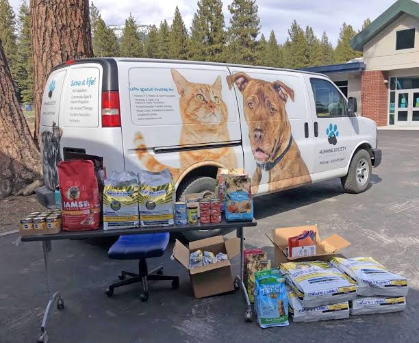 Pet transport