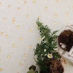 White and Gold Tiles – Glass, Marble, and 24K Gold Leaf ...