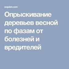 опрыскивание деревьев весной по фазам от болезней и вредителей Opryskivanie Derevev Vesnoj Po Fazam Ot Boleznej I Vreditelej Sadovye Vrediteli Organicheskoe Sadovodstvo Fruktovye Derevya