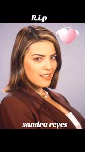 Sandra Muñoz En Novelas