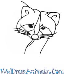 How to draw a racoonplease subscribe our channel to get newest and latest drawing tutorial.thank you:music credit : How To Draw A Raccoon Head